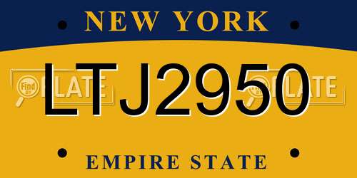 LTJ2950 New York License Plate