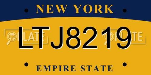 LTJ8219 New York License Plate