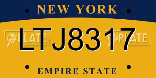 LTJ8317 New York License Plate