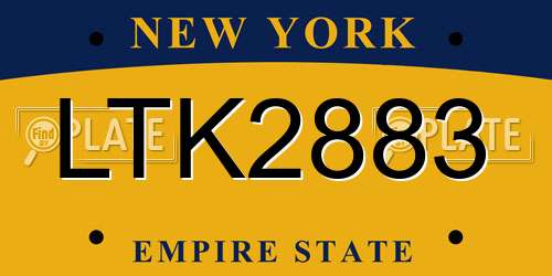LTK2883 New York License Plate
