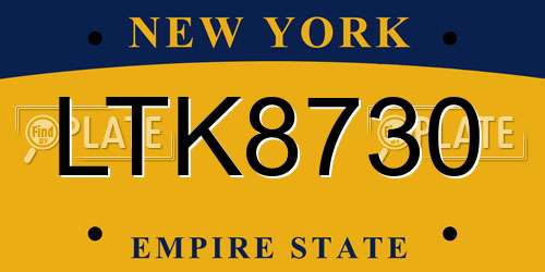 LTK8730 New York License Plate