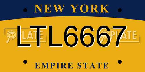 LTL6667 New York License Plate