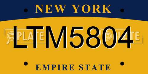 LTM5804 New York License Plate
