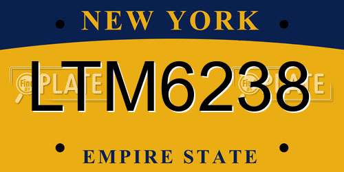 LTM6238 New York License Plate