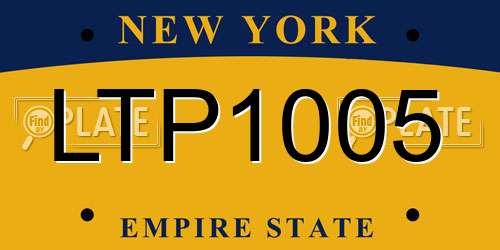 LTP1005 New York License Plate