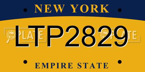 LTP2829 New York License Plate