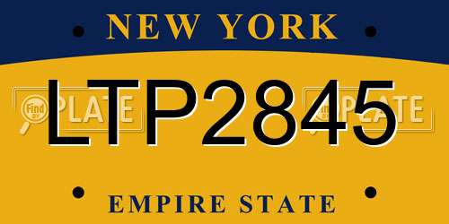 LTP2845 New York License Plate