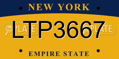 LTP3667 New York License Plate