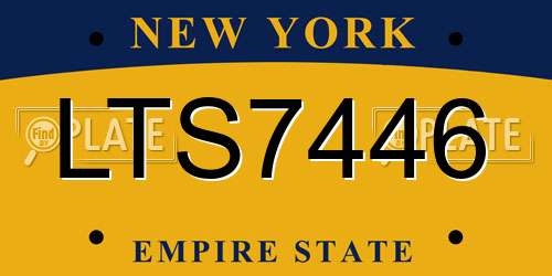 LTS7446 New York License Plate