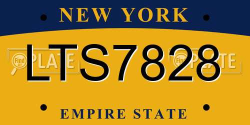 LTS7828 New York License Plate