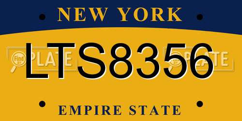 LTS8356 New York License Plate