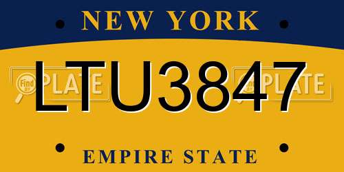 LTU3847 New York License Plate