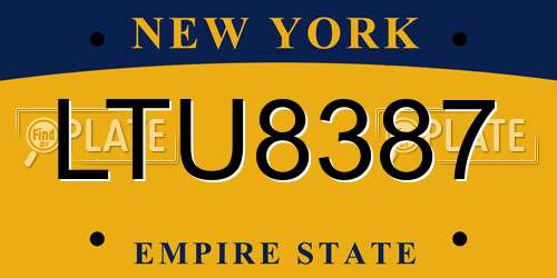 LTU8387 New York License Plate