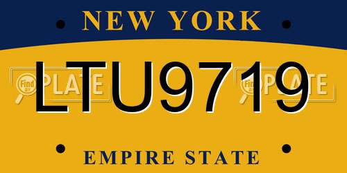 LTU9719 New York License Plate