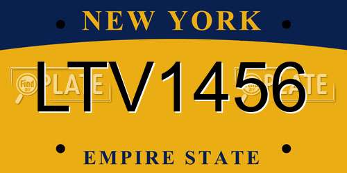 LTV1456 New York License Plate