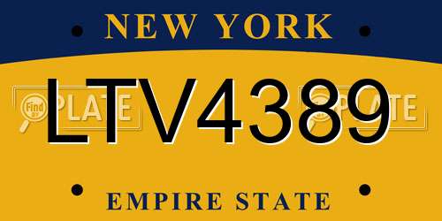LTV4389 New York License Plate