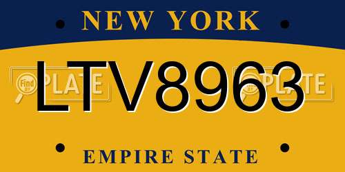 LTV8963 New York License Plate