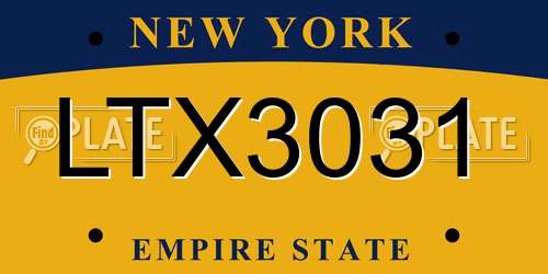 LTX3031 New York License Plate