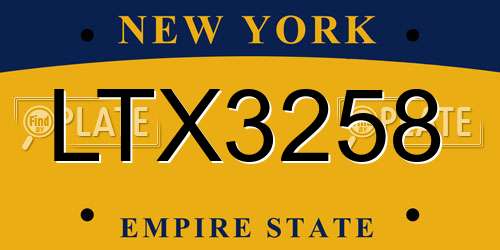 LTX3258 New York License Plate