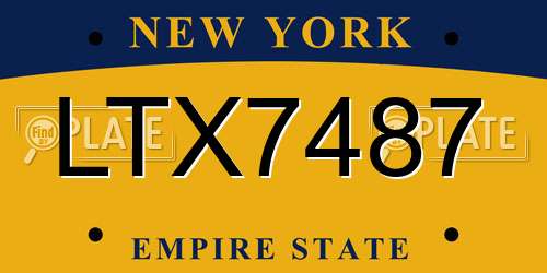 LTX7487 New York License Plate