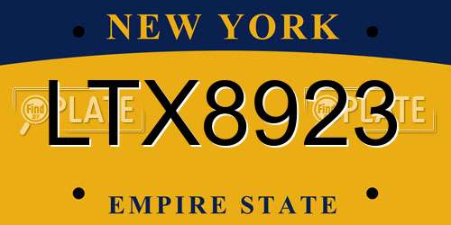 LTX8923 New York License Plate