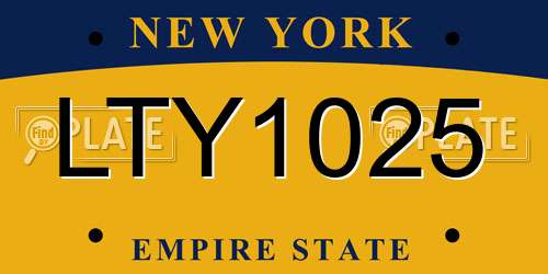 LTY1025 New York License Plate