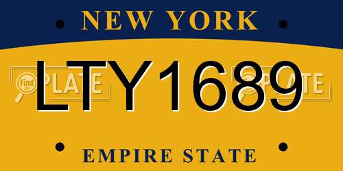 LTY1689 New York License Plate