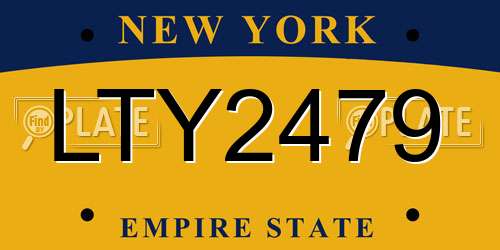 LTY2479 New York License Plate