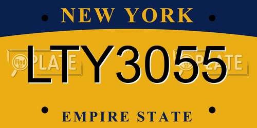 LTY3055 New York License Plate