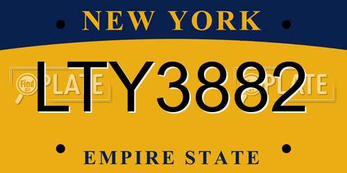 LTY3882 New York License Plate