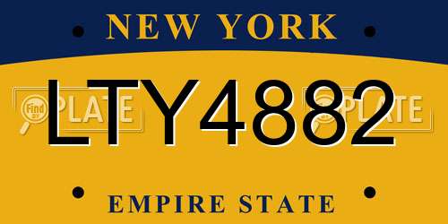 LTY4882 New York License Plate