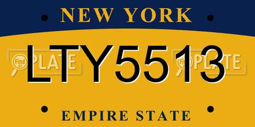 LTY5513 New York License Plate