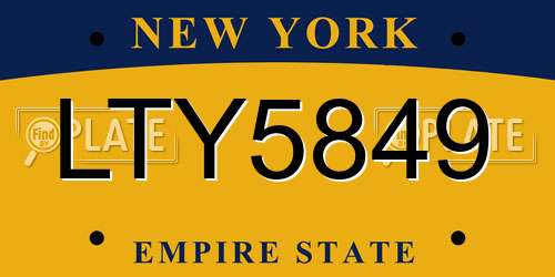 LTY5849 New York License Plate