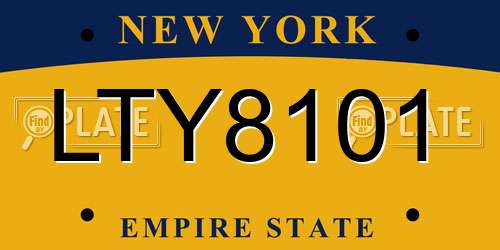 LTY8101 New York License Plate