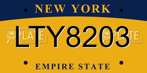 LTY8203 New York License Plate