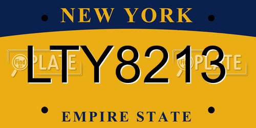 LTY8213 New York License Plate