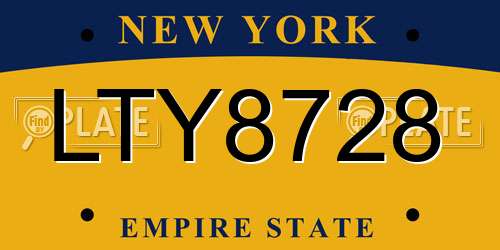 LTY8728 New York License Plate