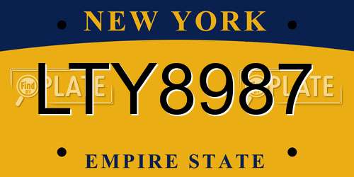 LTY8987 New York License Plate