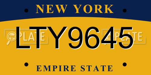 LTY9645 New York License Plate