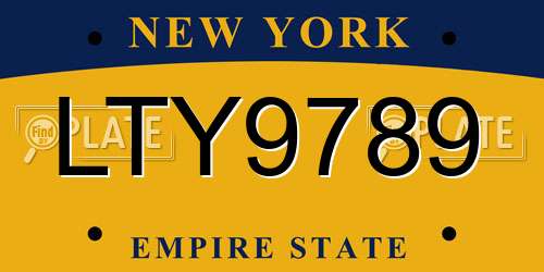 LTY9789 New York License Plate