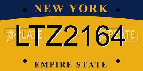 LTZ2164 New York License Plate
