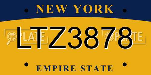 LTZ3878 New York License Plate