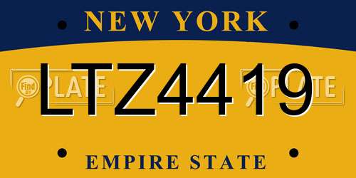 LTZ4419 New York License Plate