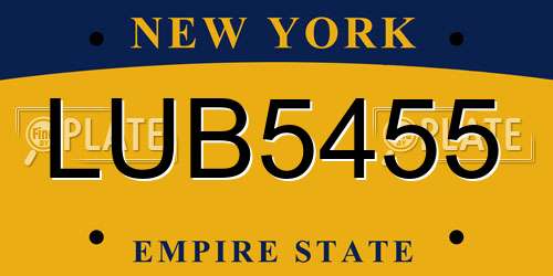 LUB5455 New York License Plate