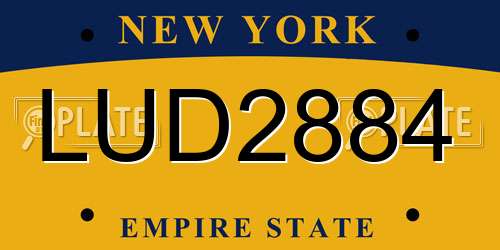 LUD2884 New York License Plate