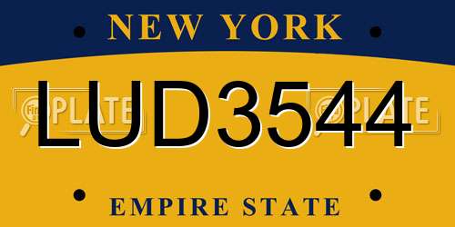 LUD3544 New York License Plate