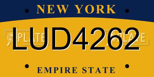 LUD4262 New York License Plate