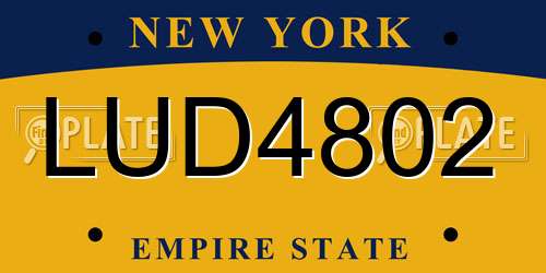 LUD4802 New York License Plate