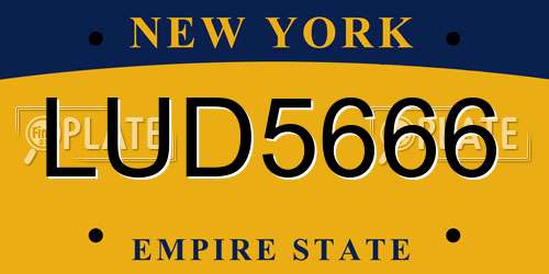 LUD5666 New York License Plate