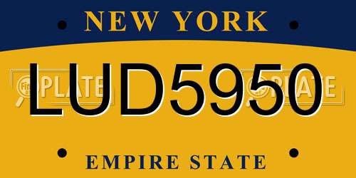 LUD5950 New York License Plate